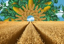 The Future of Agriculture: Innovations in Sustainable Farming