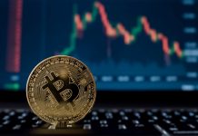 The Future of Cryptocurrency: What’s Next for Bitcoin and Other Digital Currencies?