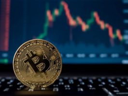The Future of Cryptocurrency: What’s Next for Bitcoin and Other Digital Currencies?