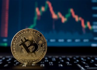 The Future of Cryptocurrency: What’s Next for Bitcoin and Other Digital Currencies?