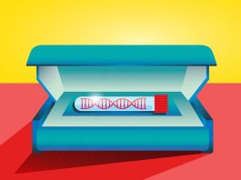 The Future of Personalized Medicine: How Genetic Testing Is Revolutionizing Healthcare