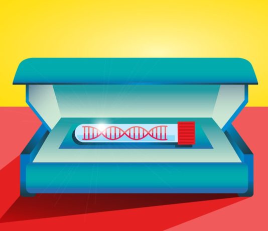 The Future of Personalized Medicine: How Genetic Testing Is Revolutionizing Healthcare