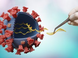 Gain of function research