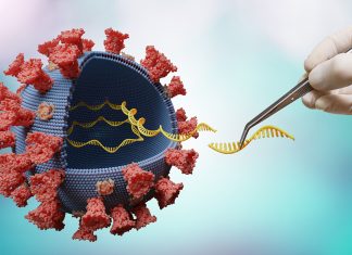 Gain of function research