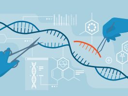 The Ethics of Gene Editing: Should We Play God?