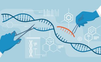 The Ethics of Gene Editing: Should We Play God?