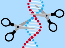 Breakthrough in Gene Editing Technology Could Cure Genetic Diseases