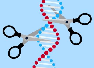 Breakthrough in Gene Editing Technology Could Cure Genetic Diseases