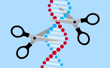 Breakthrough in Gene Editing Technology Could Cure Genetic Diseases