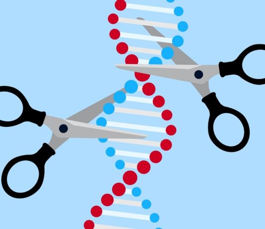 Breakthrough in Gene Editing Technology Could Cure Genetic Diseases