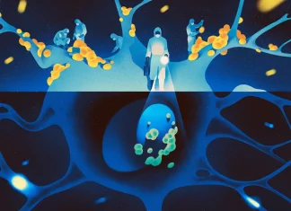 Researchers Discover New Gene Linked to Alzheimer’s Disease