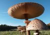 Giant mushroom