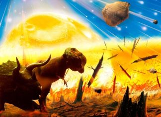 The Great Extinction Events: What Caused Them and What Can We Learn from Them?