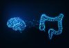 New Study Reveals Link Between Gut Bacteria and Mental Health