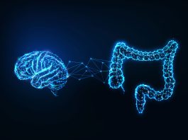 New Study Reveals Link Between Gut Bacteria and Mental Health