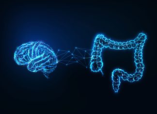 New Study Reveals Link Between Gut Bacteria and Mental Health