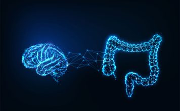 New Study Reveals Link Between Gut Bacteria and Mental Health