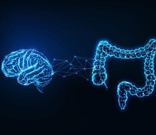 New Study Reveals Link Between Gut Bacteria and Mental Health