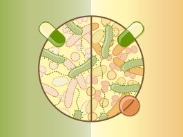 The Science of the Gut Microbiome: How Our Microbes Affect Our Health