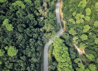 Habitat fragmentation