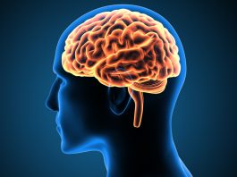 The Human Brain Project: Understanding the Most Complex Organ in the Body