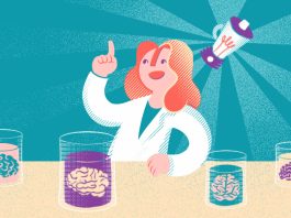 The Evolution of Human Intelligence: Understanding the Factors that Shaped Our Brains