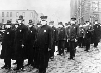 Human tissue pandemic preserved since world war 2