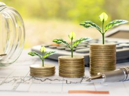 The Rise of Impact Investing: Investing in Companies That Make a Positive Social or Environmental Impact