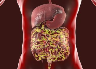 The Importance of Gut Health: How Digestive Health Affects Overall Health and Well-Being
