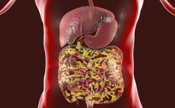 The Importance of Gut Health: How Digestive Health Affects Overall Health and Well-Being