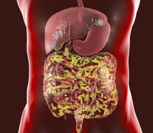 The Importance of Gut Health: How Digestive Health Affects Overall Health and Well-Being
