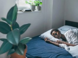 The Science of Sleep: Understanding the Importance of Rest for Our Bodies and Minds