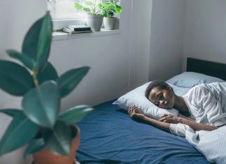 The Science of Sleep: Understanding the Importance of Rest for Our Bodies and Minds
