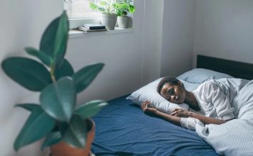 The Science of Sleep: Understanding the Importance of Rest for Our Bodies and Minds