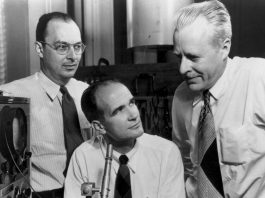 John Bardeen, Walter Brattain, and William Shockley: The Inventors of the Transistor