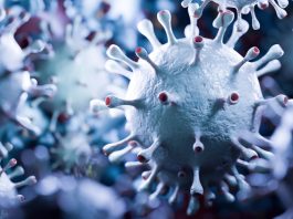 Is covid a retrovirus