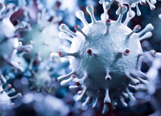 Is covid a retrovirus