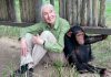 Jane Goodall: The Primatologist Who Transformed Our Understanding of Chimpanzees