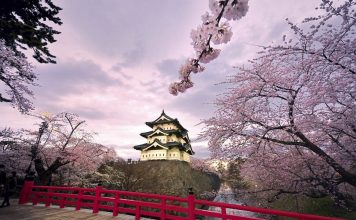 The Science and Beauty of Japan’s Cherry Blossoms: Understanding the Phenomenon and Best Places to See Them