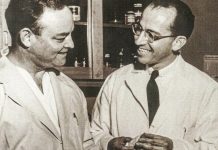 Jonas Salk: The Medical Researcher Who Developed the Polio Vaccine