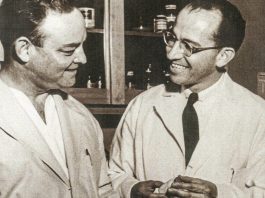 Jonas Salk: The Medical Researcher Who Developed the Polio Vaccine