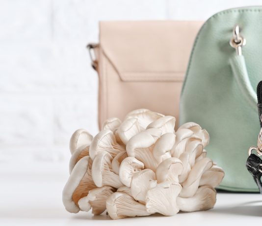 The Science of Leather: From Traditional Techniques to Sustainable Alternatives