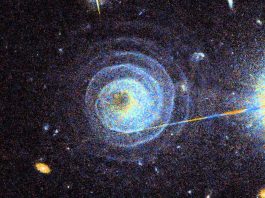 The Life of a Star: From Birth to Death in the Cosmos