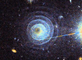 The Life of a Star: From Birth to Death in the Cosmos