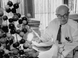 Linus Pauling: The Chemist Who Received Two Nobel Prizes, One for His Work on the Nature of Chemical Bonds and One for His Work on the Structure of Proteins