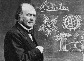 Louis Agassiz: The Paleontologist Who Made Contributions to the Study of Ice Ages and Glaciers