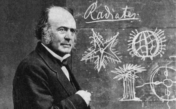 Louis Agassiz: The Paleontologist Who Made Contributions to the Study of Ice Ages and Glaciers