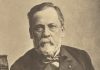 Louis Pasteur: The Scientist Who Discovered Germ Theory and Vaccines