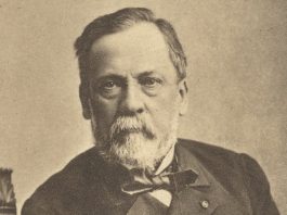 Louis Pasteur: The Scientist Who Discovered Germ Theory and Vaccines