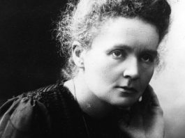 Marie Curie: The Pioneer of Radioactivity and the First Woman to Win a Nobel Prize